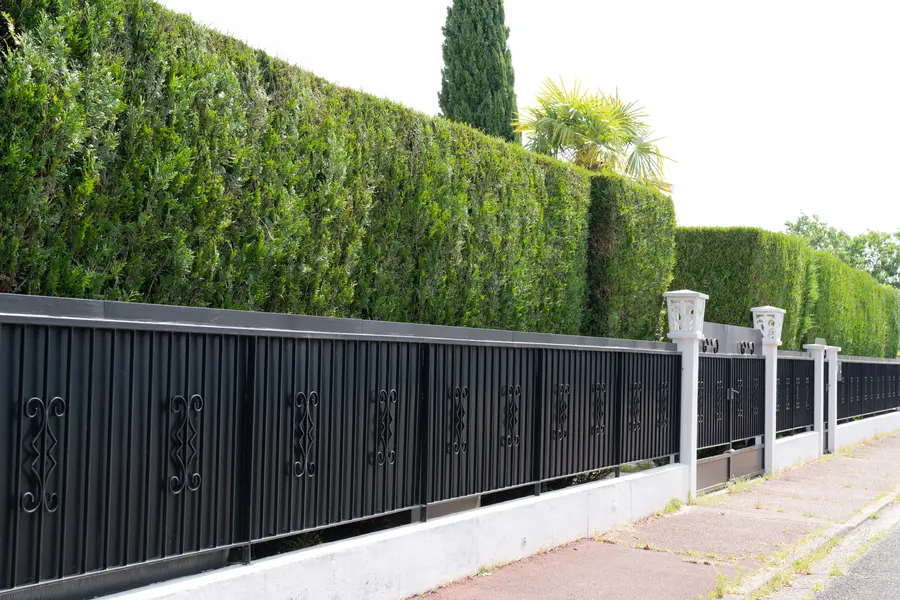 Fence Replacement