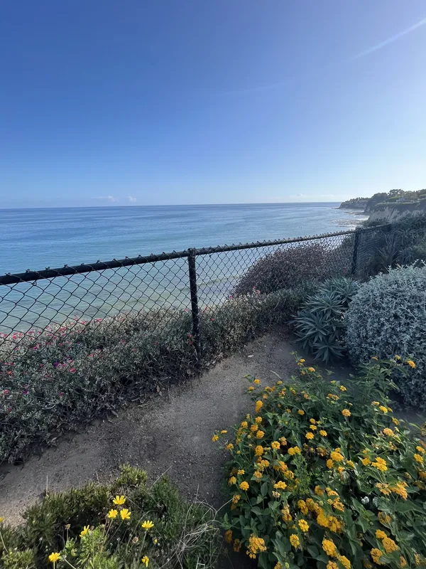 Fence Installation